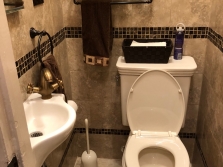 Bathroom Renovation Plainview 1